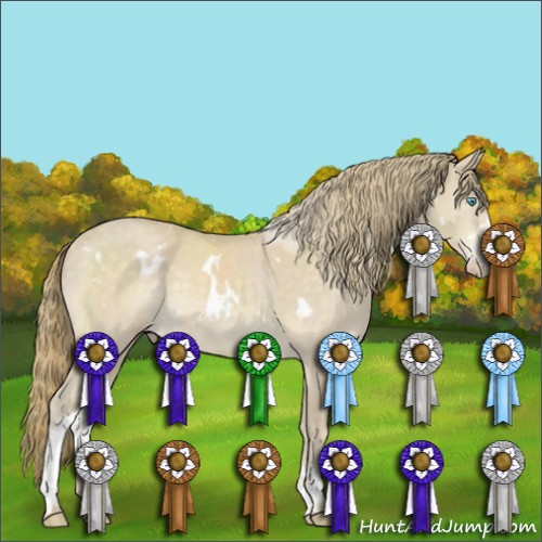 Horse Color:White Spotted Perlino Mushroom Rabicano