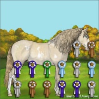 Horse Color:White Spotted Perlino Mushroom Rabicano