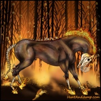 Horse Color:Silver Bay 