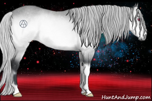 Horse Color:Silver Brown Chinchilla Onyx Rabicano