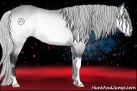 Horse Color:Silver Brown Chinchilla Onyx Rabicano 