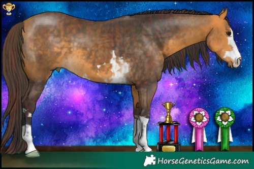 Horse Color:Chocolate Buckskin and Buckskin