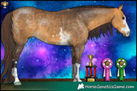 Horse Color:Chocolate Buckskin  and Buckskin 