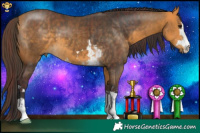 Horse Color:Chocolate Buckskin and Buckskin