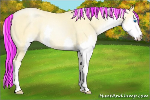 Horse Color:Painted Palomino Pearl Splash Rabicano 