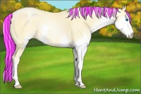 Horse Color:Painted Palomino Pearl Splash Rabicano 