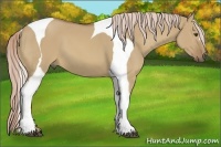 Horse Color:Palomino Dun Tobiano 