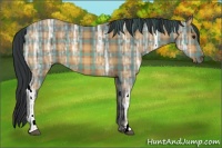 Horse Color:Plaid  Bay Ice 