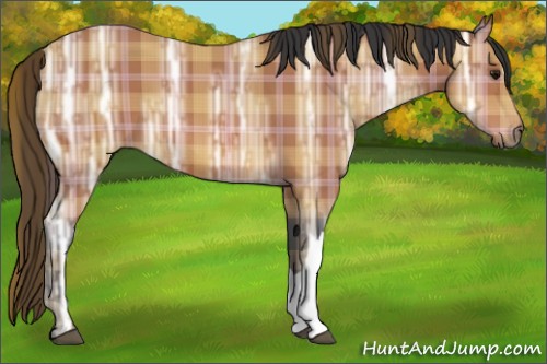 Horse Color:Plaid  Bay Ice 