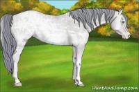 Horse Color:Watercolor Buckskin Ice Pearl Onyx 