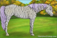 Horse Color:Painted Palomino Ice Pearl Onyx 