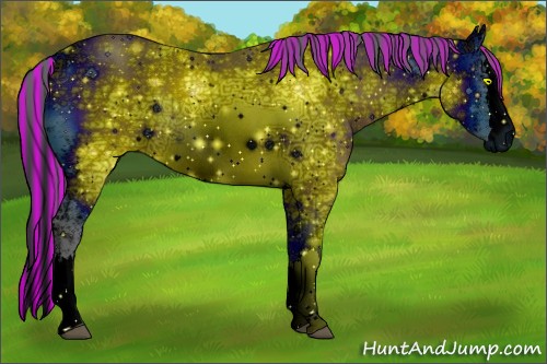 Horse Color:ERROR: UNKNOWN ANOMALY