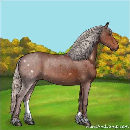 Horse Color:Chocolate Silver Brown Rabicano 