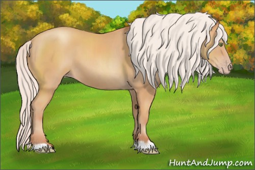 Horse Color:Silver Amber Champagne