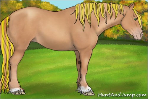 Horse Color:Painted Gold Champagne 