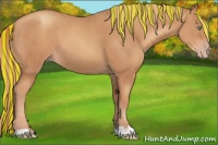 Horse Color:Painted Gold Champagne 