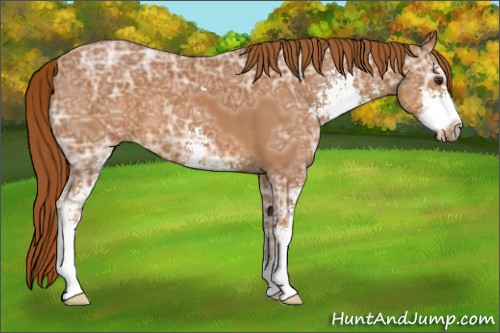 Horse Color:Chestnut Ice Sabino 