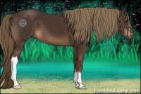 Horse Color:Liver Chestnut 