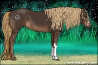 Horse Color:Liver Chestnut 