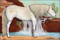 Horse Color:White Spotted Smoky Creme