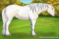 Horse Color:Cremello Roan Tobiano 