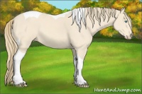 Horse Color:Perlino Tobiano 