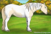 Horse Color:Perlino Tobiano