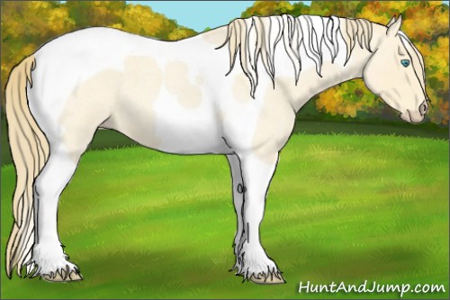 Horse Color:Perlino Roan Tobiano