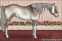 Horse Color:Silver Brown Onyx 