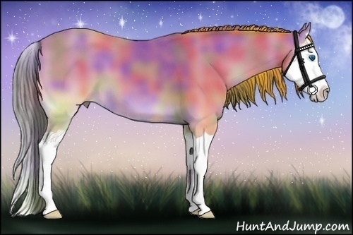 Horse Color:Nacre Buckskin Onyx Splash