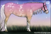 Horse Color:White Spotted Silver Buckskin 