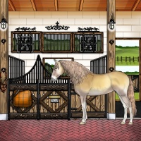 Horse Color:Palomino Onyx 