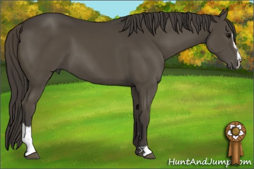Horse Color:Smoky Black Sabino 