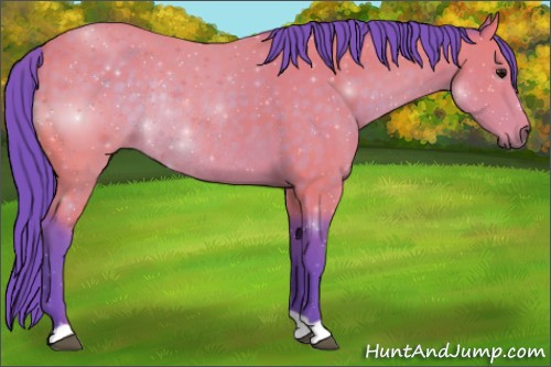 Horse Color:Watercolor Buckskin Rabicano 