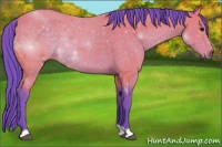 Horse Color:Watercolor Buckskin Rabicano 