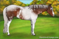 Horse Color:White Spotted Silver Brown 
