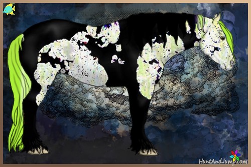 Horse Color:Watercolor White Spotted Liver Chestnut Ice Tobiano Appaloosa 