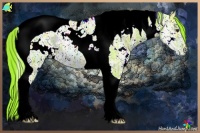 Horse Color:Watercolor White Spotted Liver Chestnut Ice Tobiano Appaloosa 