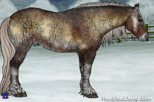 Horse Color:Silver Brown Ice Onyx 