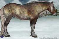 Horse Color:Silver Brown Ice Onyx