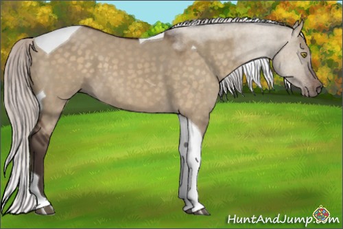 Horse Color:Silver Brown Dun Tobiano 