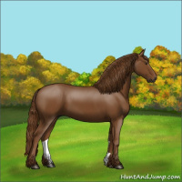 Horse Color:Gray Chestnut 