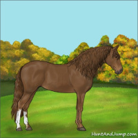 Horse Color:Gray Chestnut 