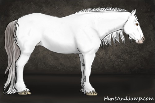 Horse Color:White Spotted Classic Champagne Ice Appaloosa 