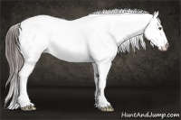 Horse Color:White Spotted Classic Champagne Ice Appaloosa 