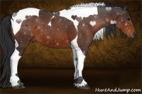 Horse Color:Brown Tobiano 