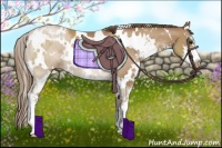Horse Color:White Spotted Black Pearl Sabino Rabicano