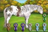 Horse Color:White Spotted Silver Black Sabino 