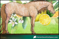 Horse Color:Bay Roan Pearl Dun  and Bay Pearl 