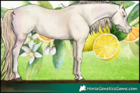 Horse Color:Bay Roan Snowdrop Pearl Dun  and Bay Snowdrop Pearl 